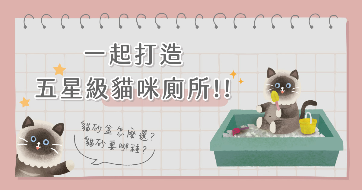 一起打造五星級貓咪廁所！