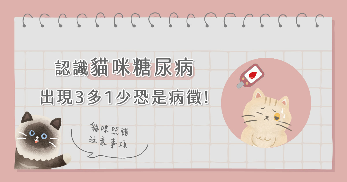 貓咪糖尿病