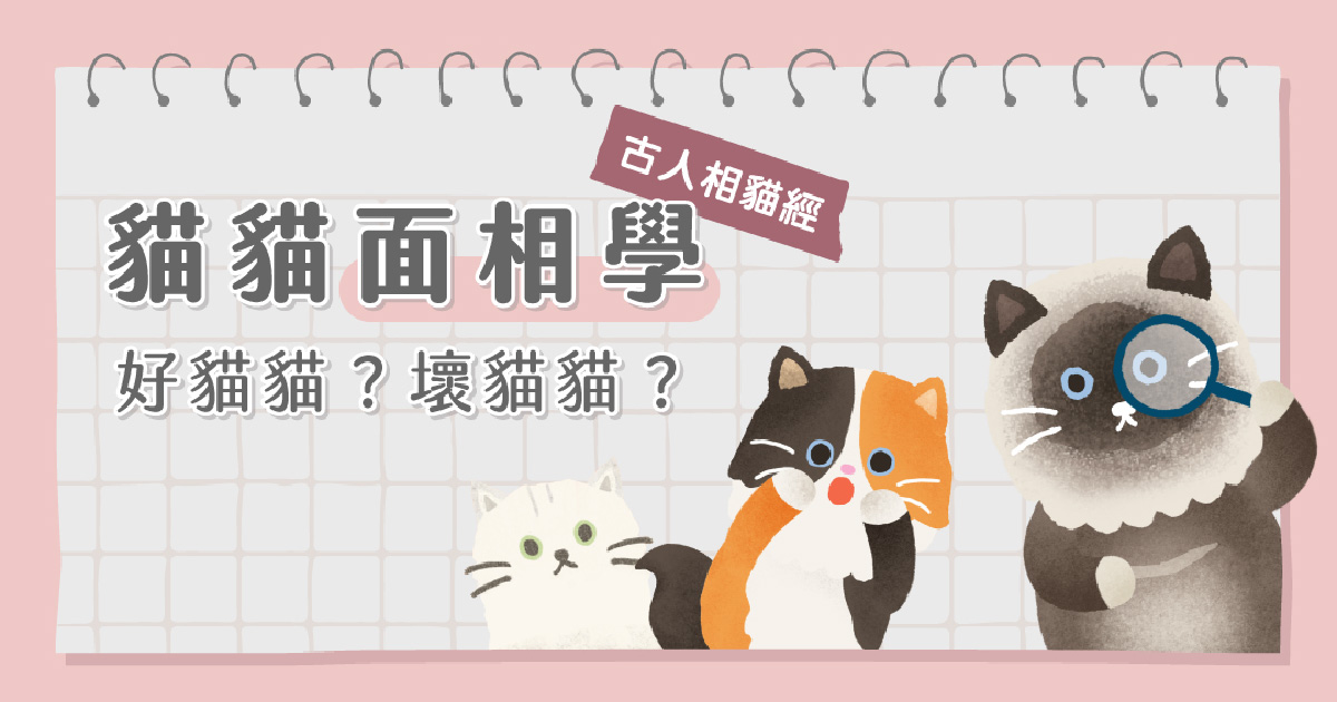 好貓壞貓