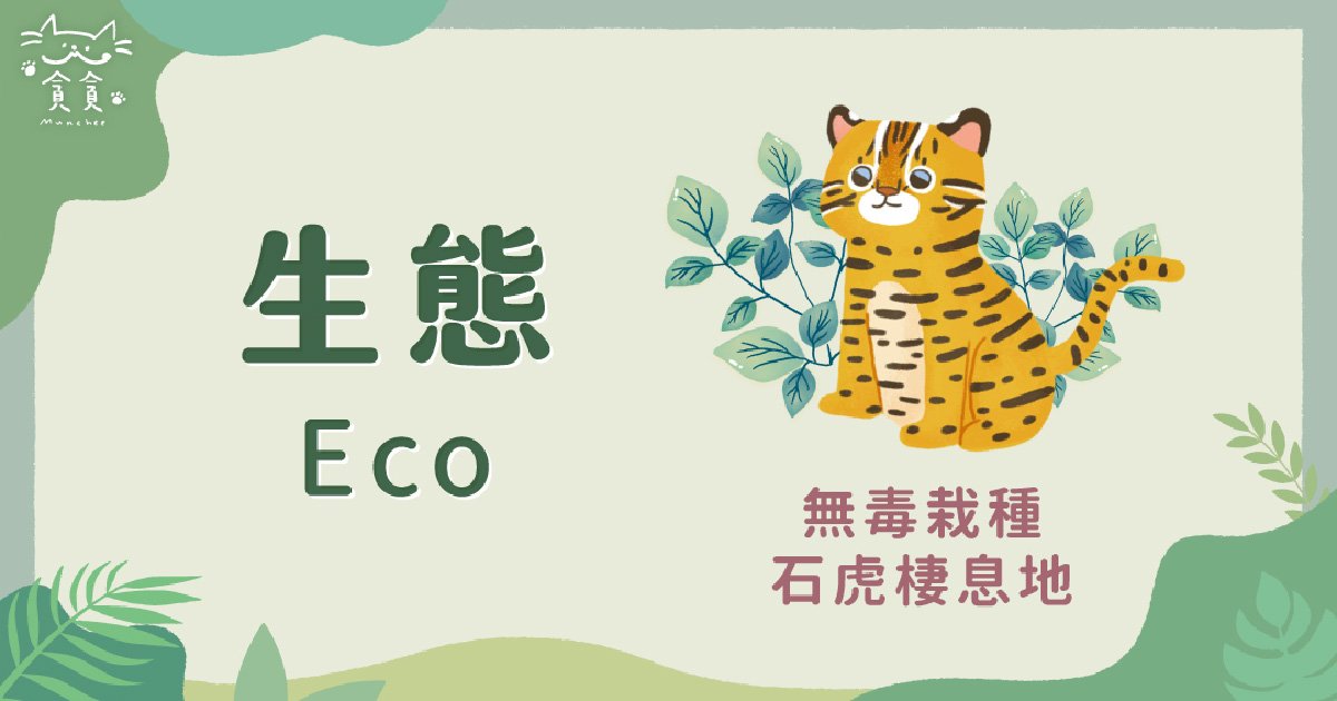 石虎