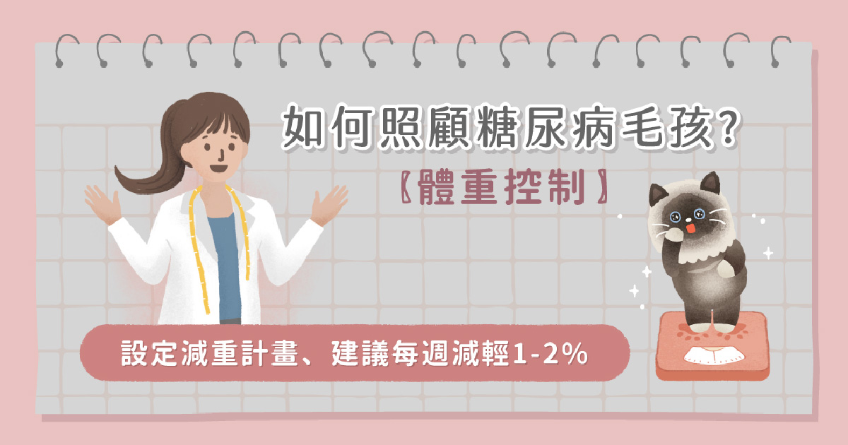 糖尿病毛孩體重控制