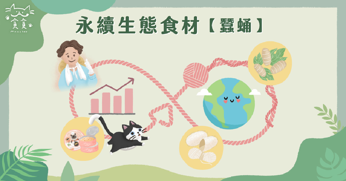 蠶蛹篇