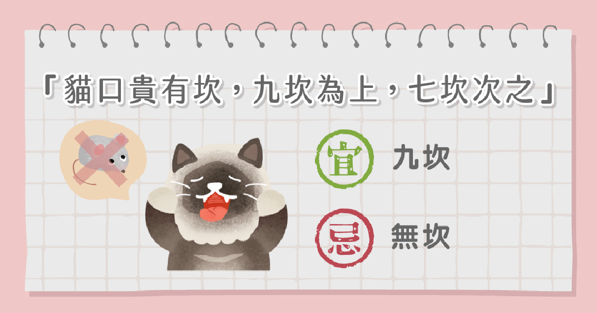 貓咪嘴巴