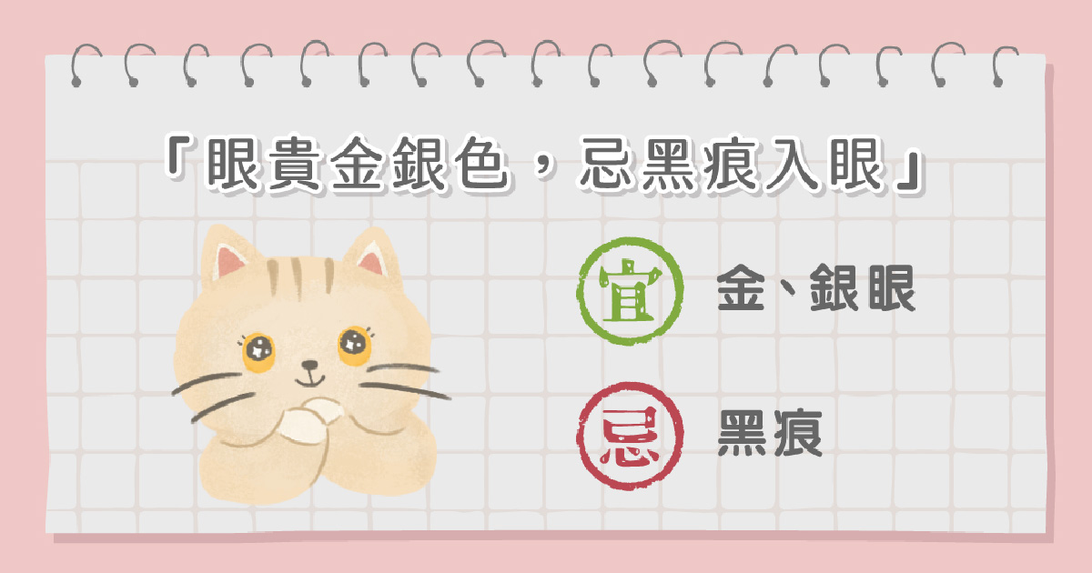 貓咪眼睛