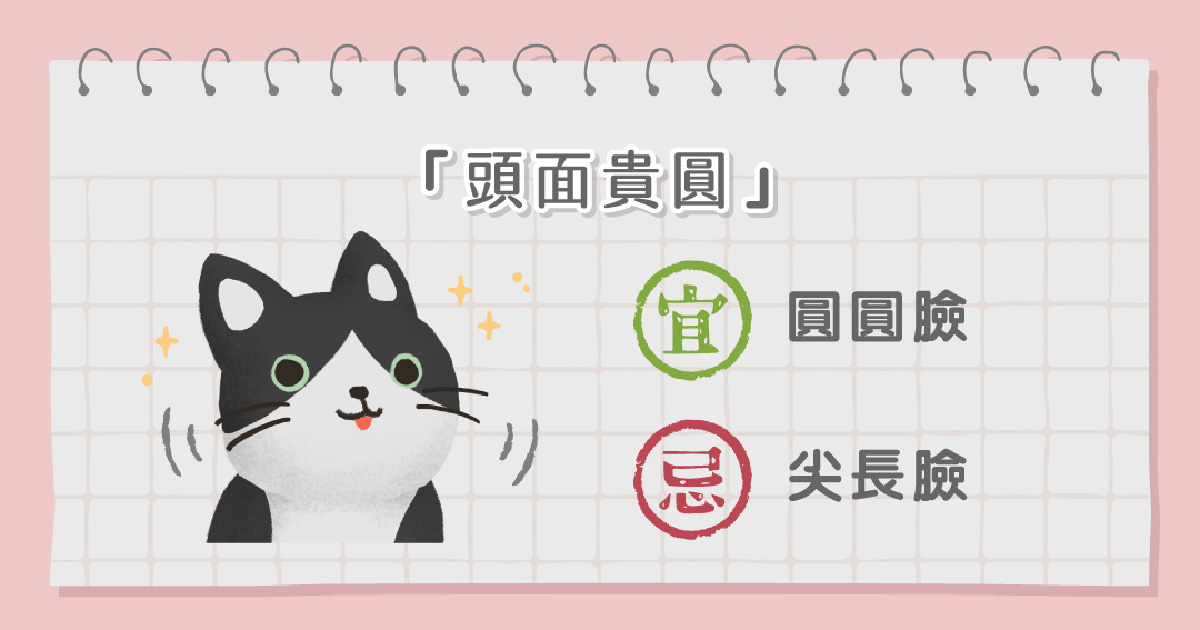 貓咪面相