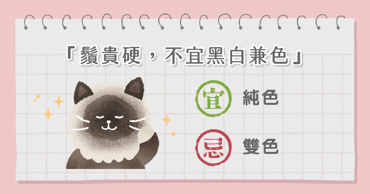 貓咪鬍鬚
