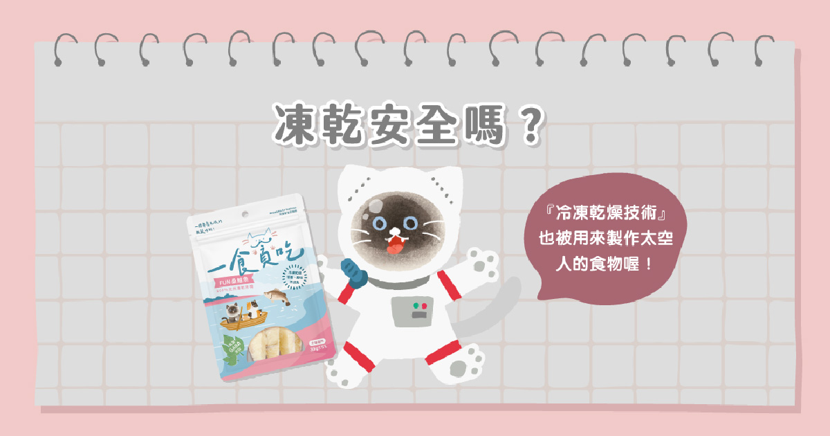 凍乾安全嗎