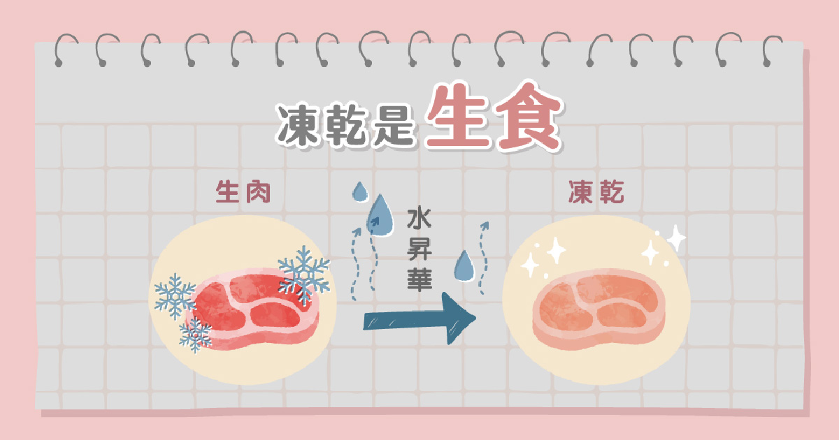 凍乾是生食