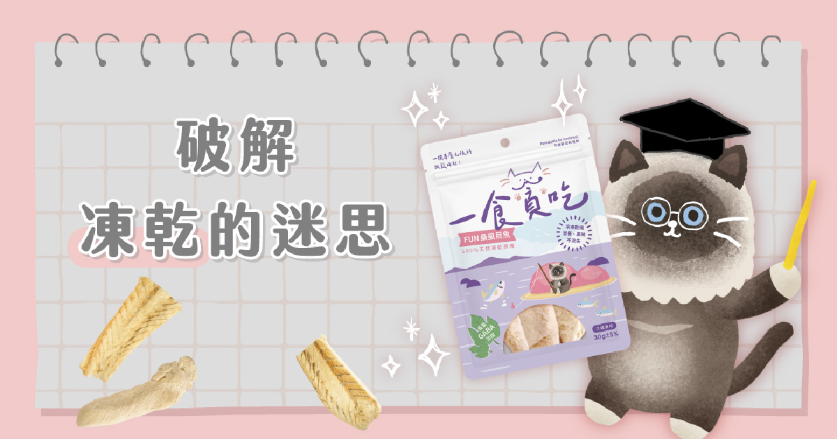 破解凍乾的迷思