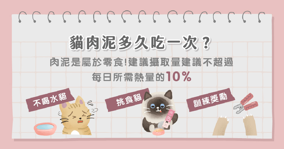 貓肉泥多久吃一次