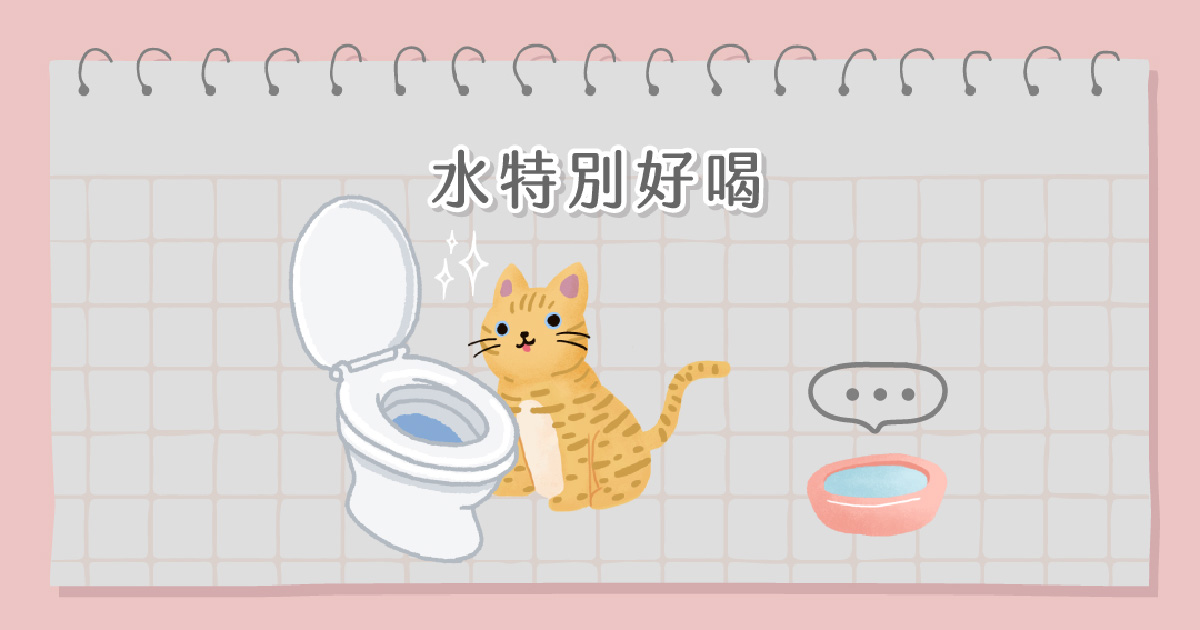 洗手台好躺又有流動水喝