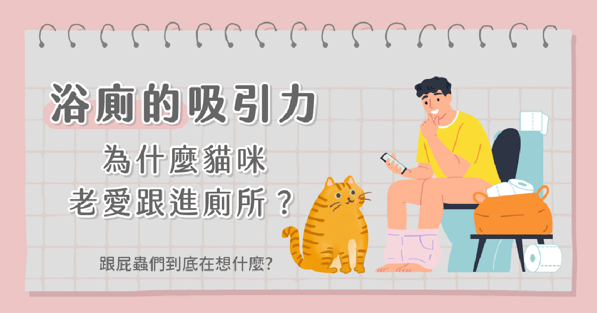 為什麼貓咪老愛跟進廁所