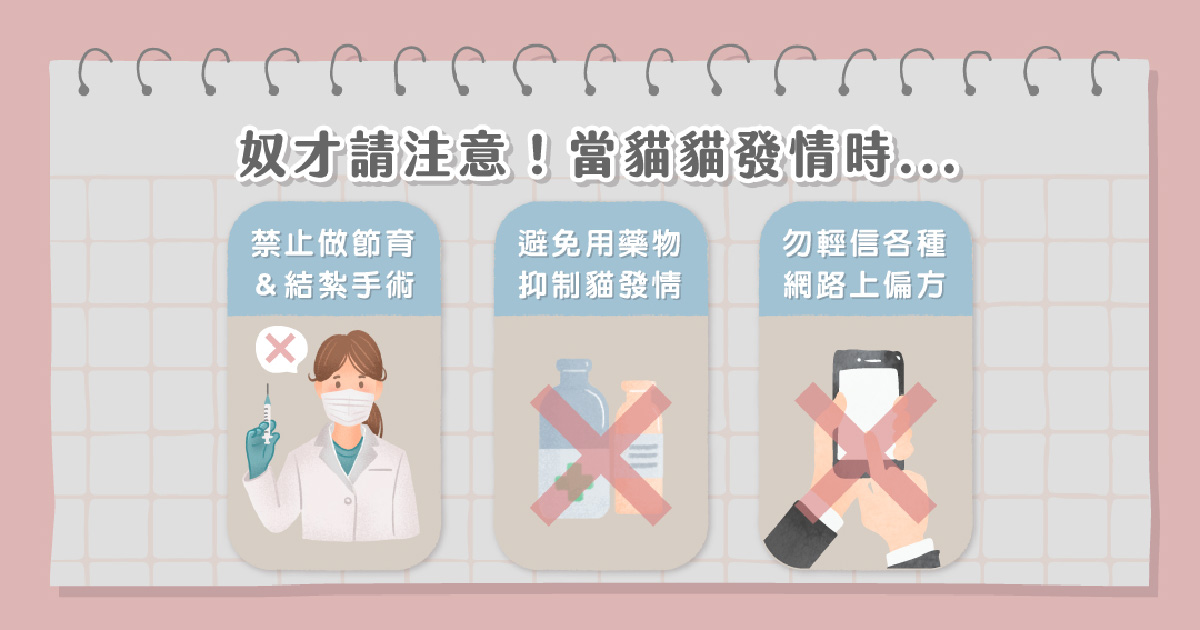 當貓貓發情時