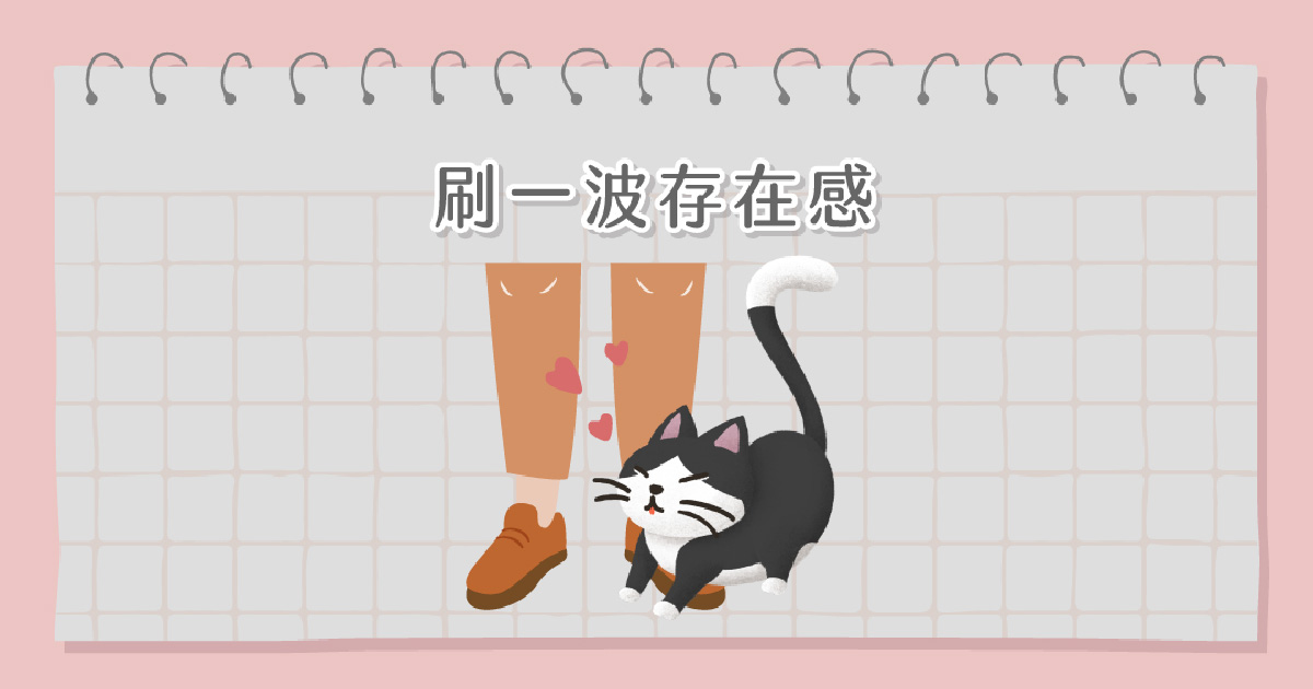 貓咪刷存在感
