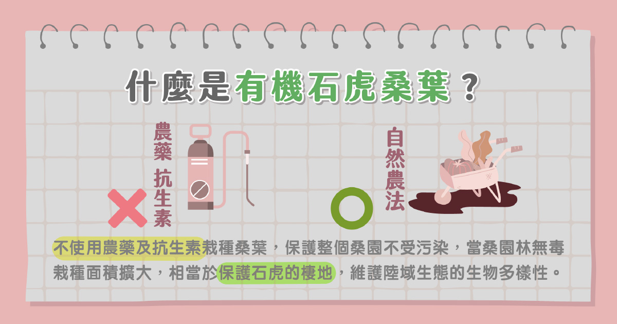 什麼是有機石虎桑葉？