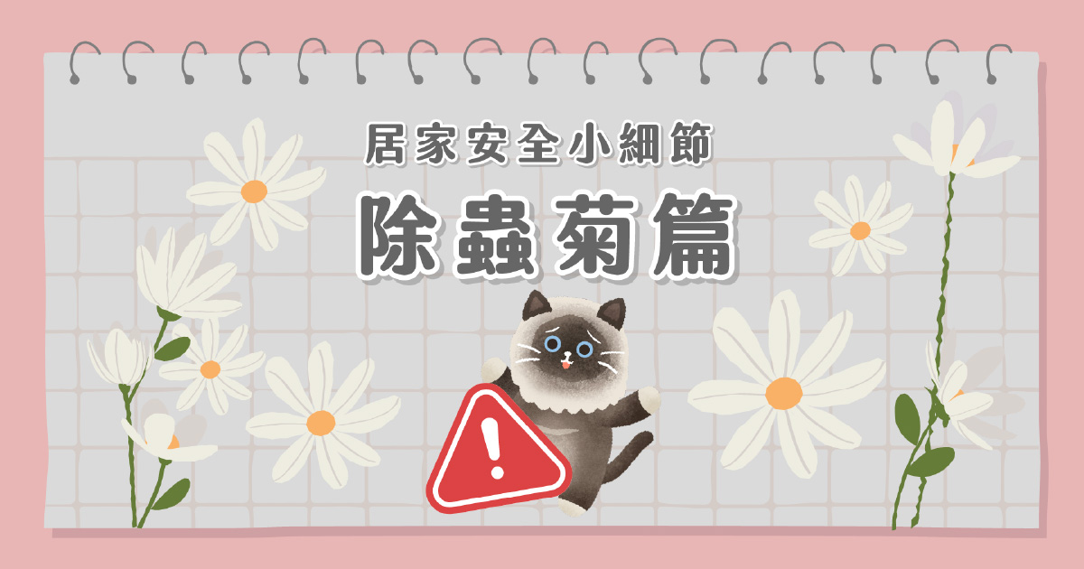 居家安全小細節-除蟲菊