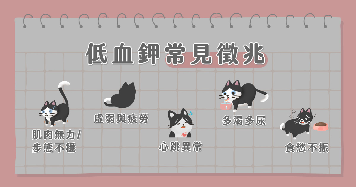 低血鉀的常見徵兆