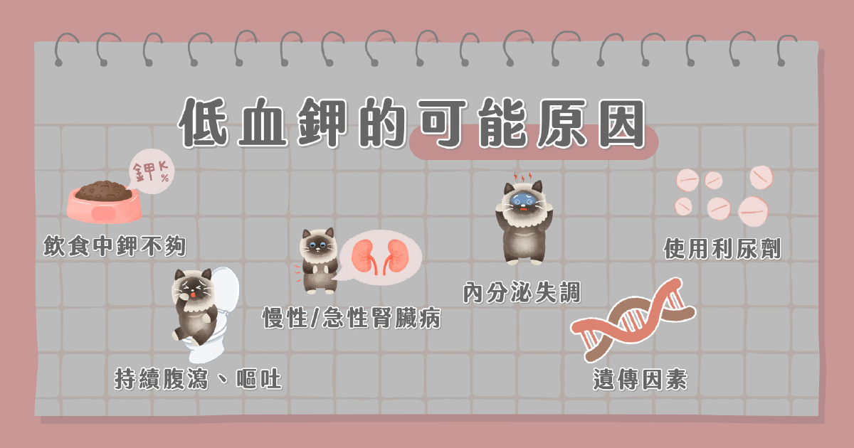 低血鉀可能原因