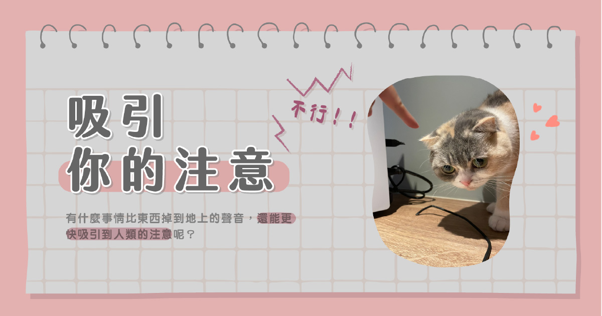 吸引注意