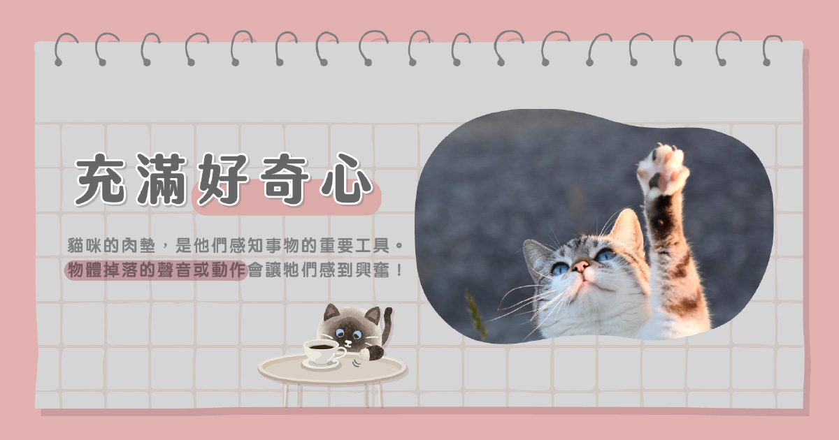 好奇心