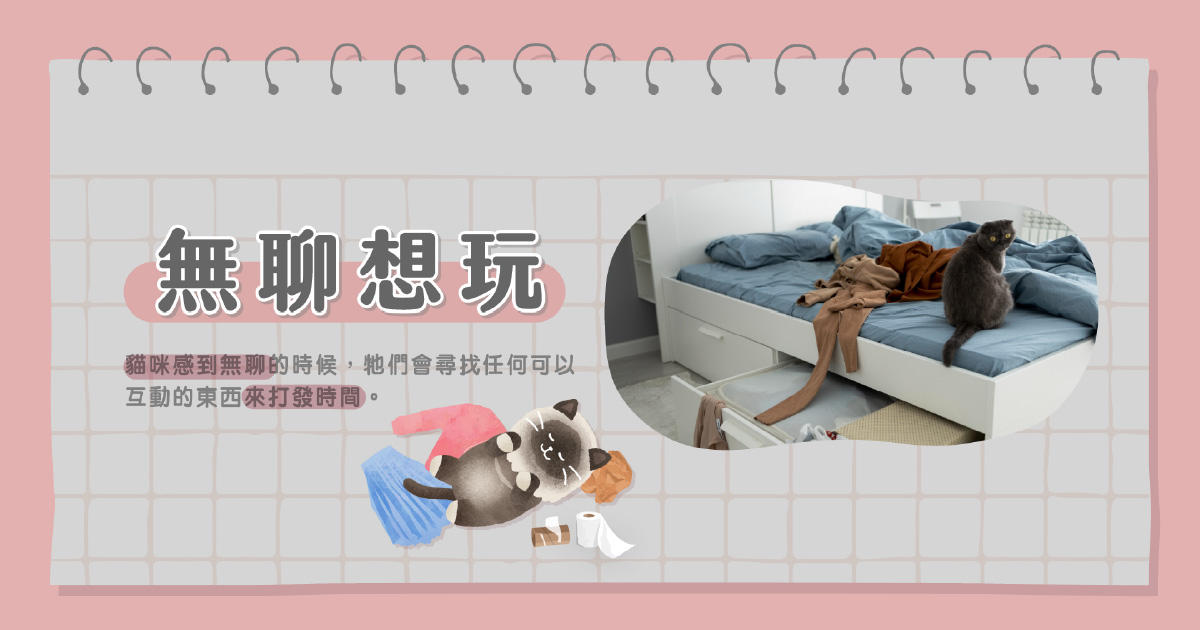 無聊或想玩