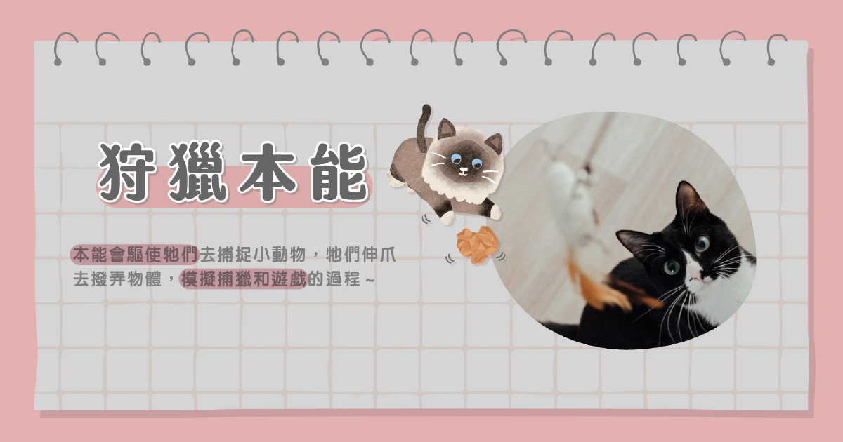 狩獵本能