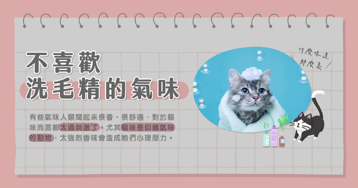 不喜歡洗毛精的氣味