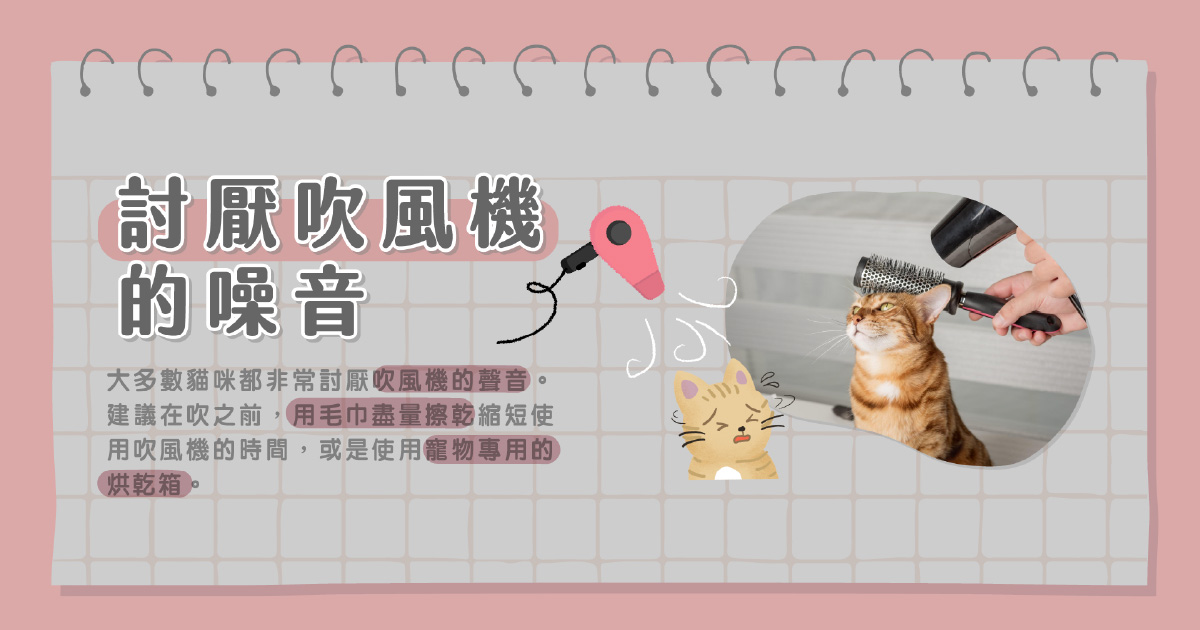 毛孩都討厭吹風機