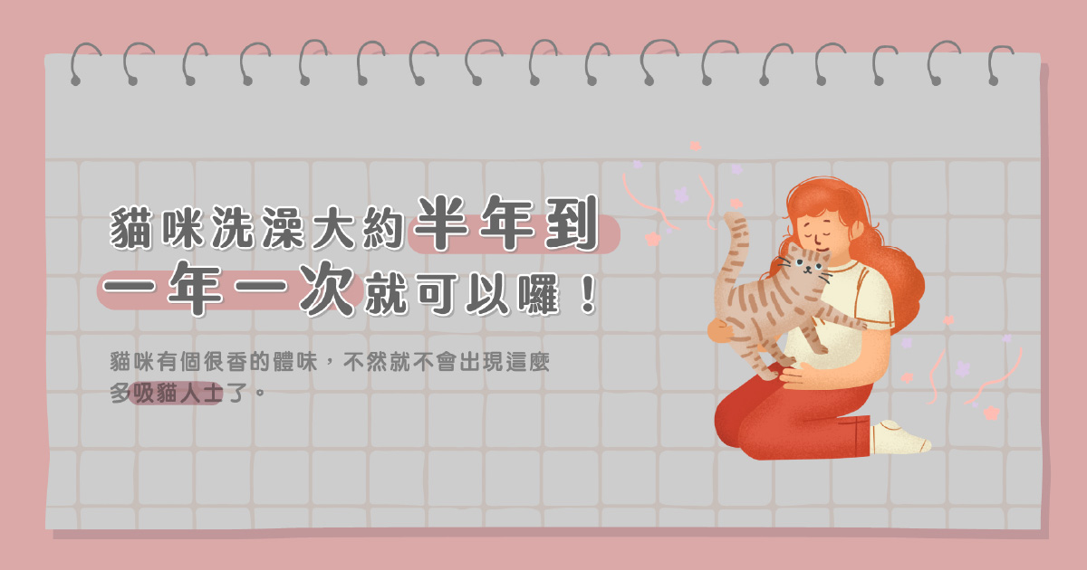 貓咪多久洗一次澡?