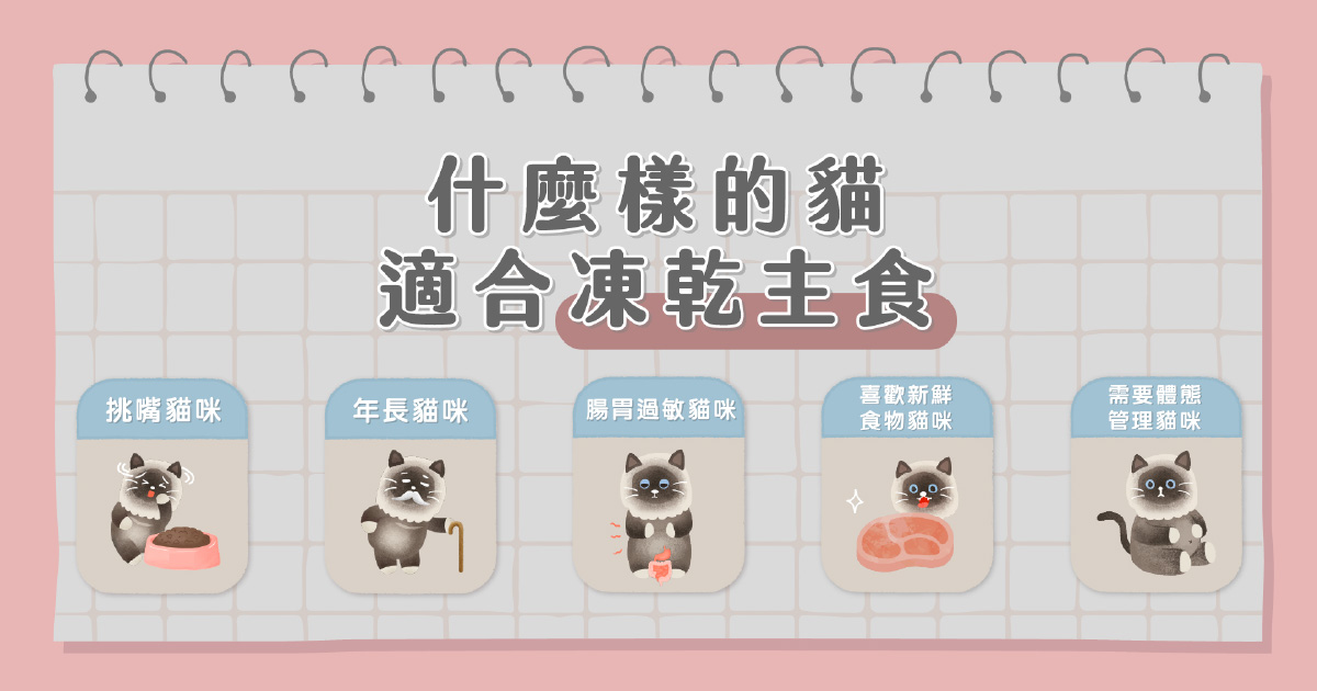 什麼樣的貓適合凍乾主食？