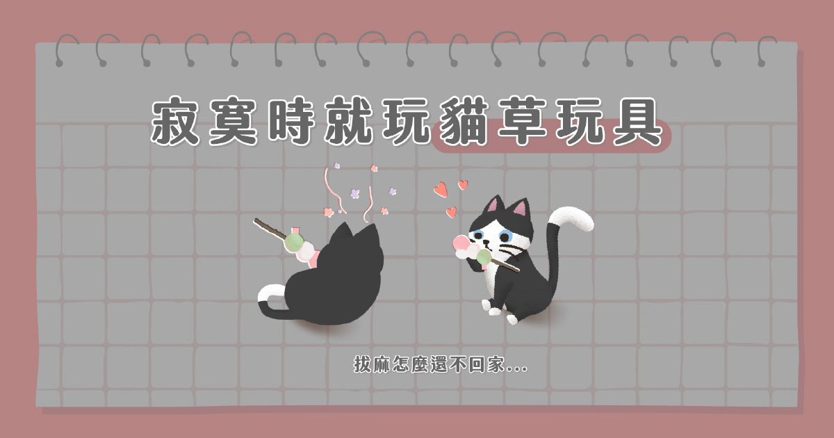 來玩吧！貓草玩具！