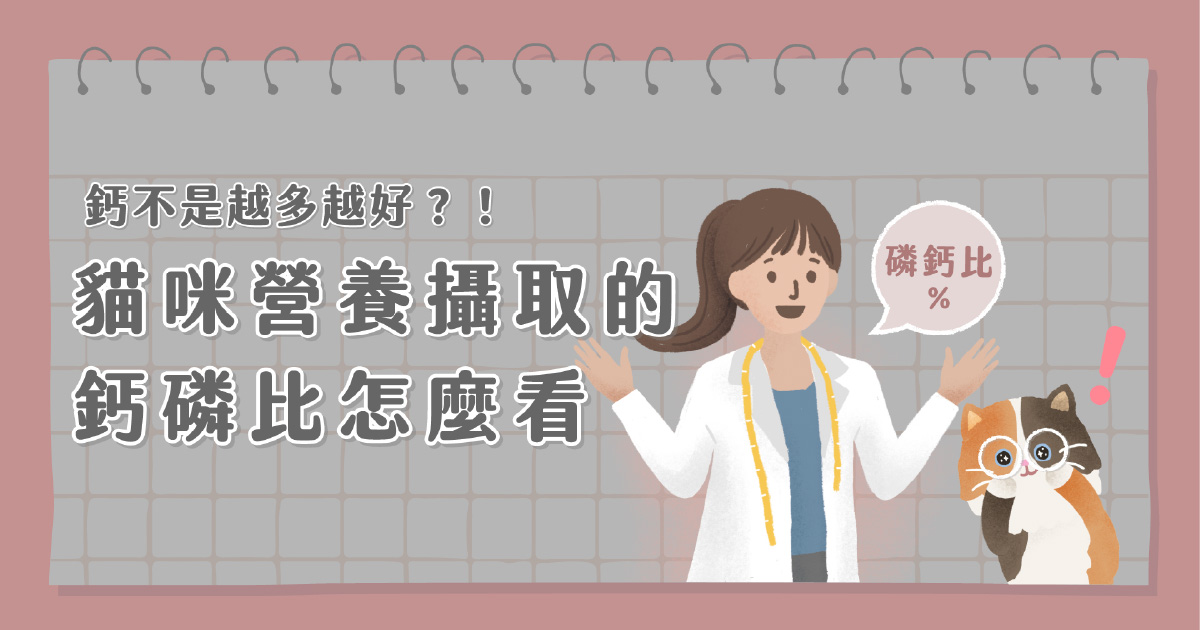 貓咪攝取營養的鈣磷比怎麼看