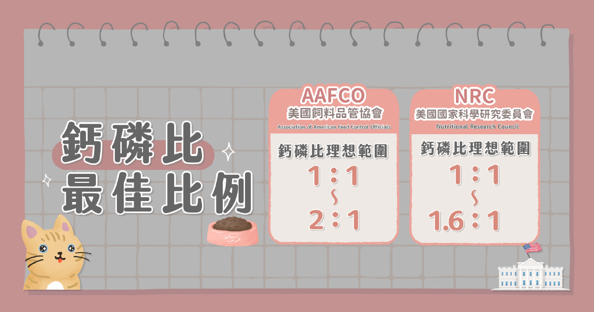 鈣磷比最佳比例