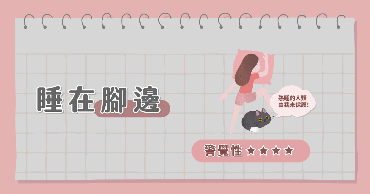 貓貓睡在主人腳邊
