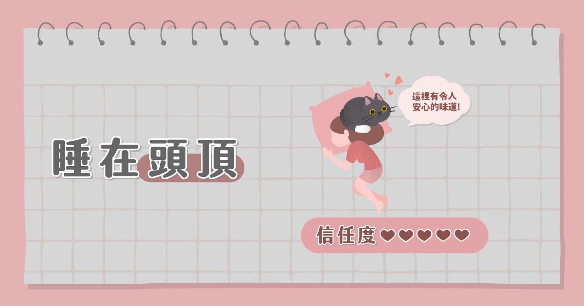 貓貓睡在主人頭頂