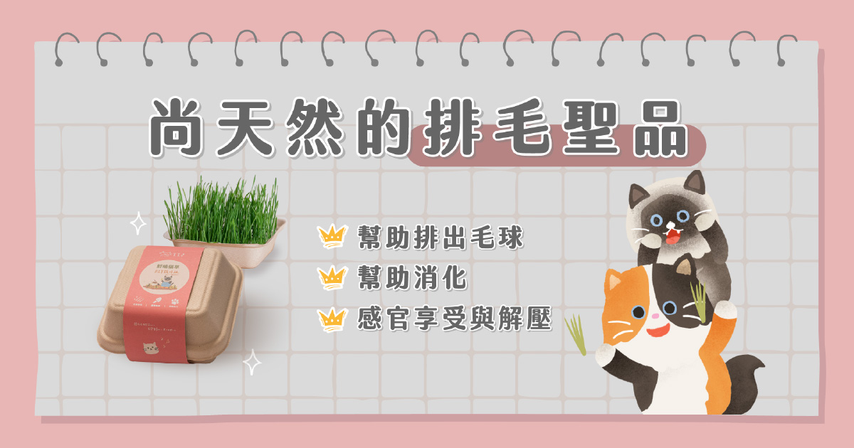 尚天然的排毛聖品