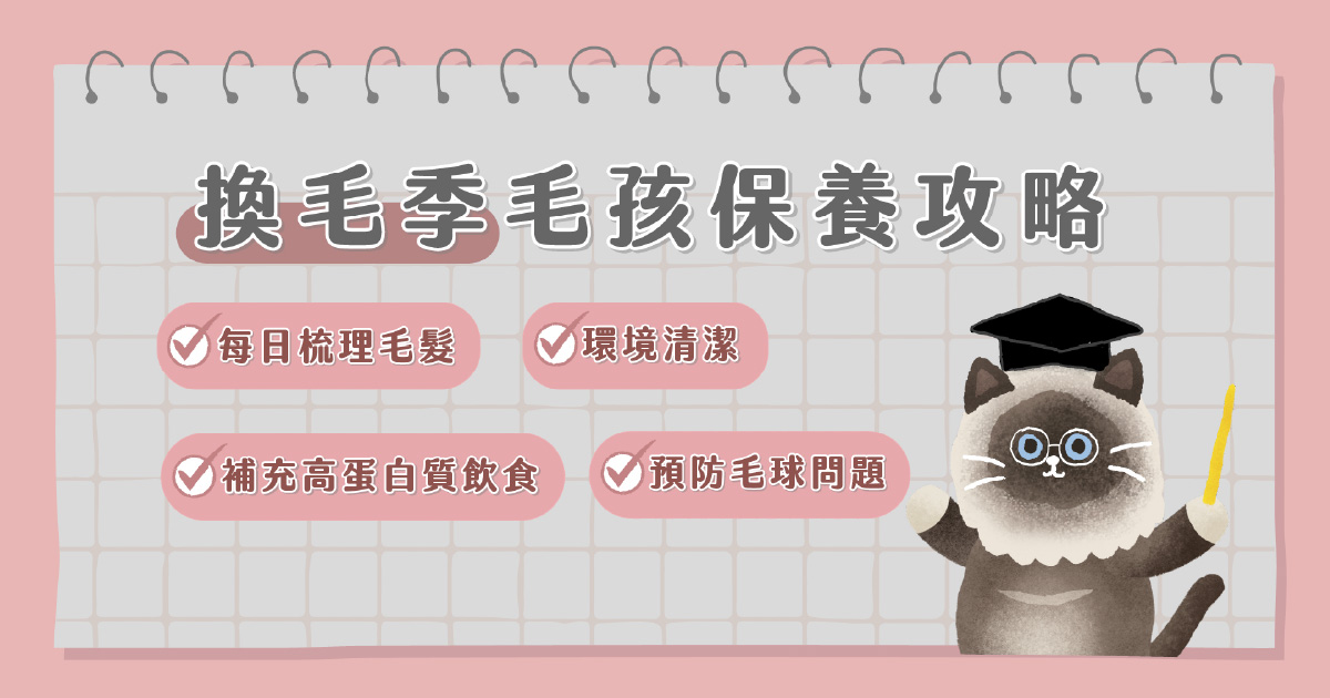 換毛季毛孩保養攻略