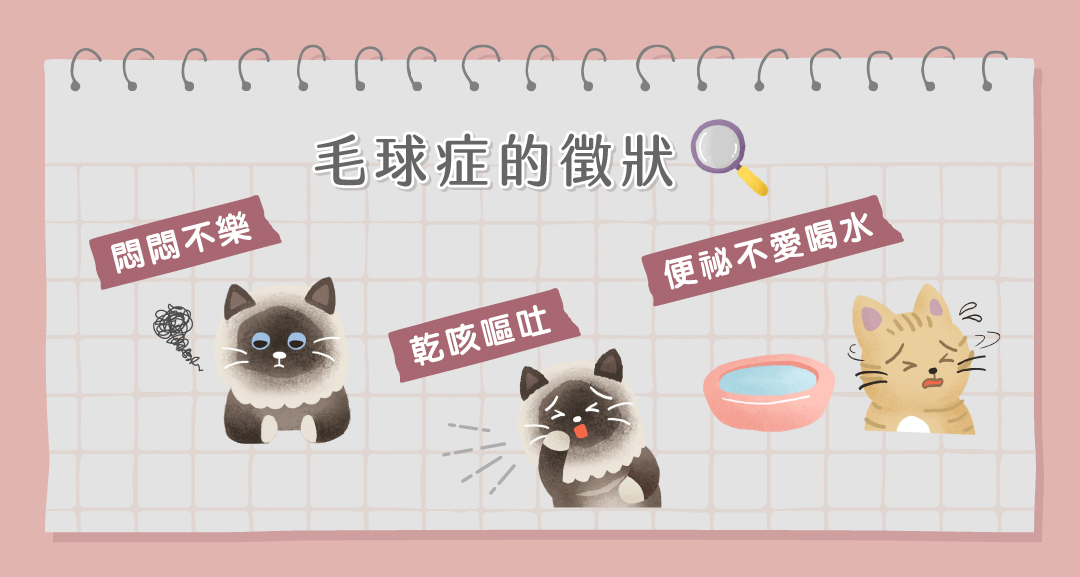毛球症的徵狀