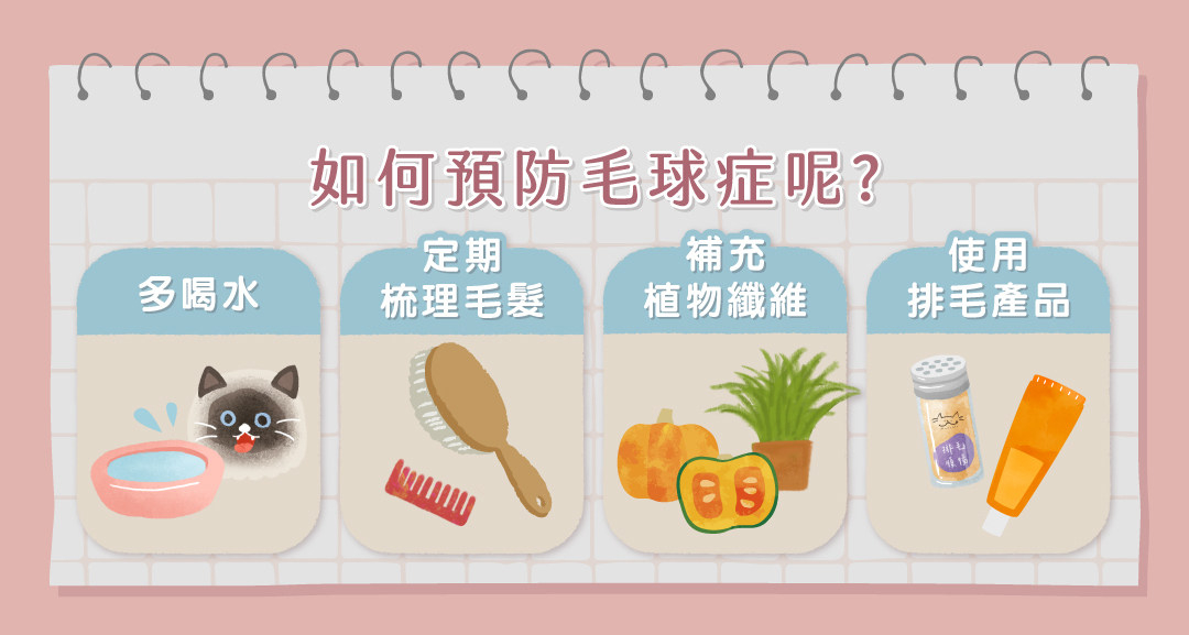 4.如何預防毛球症