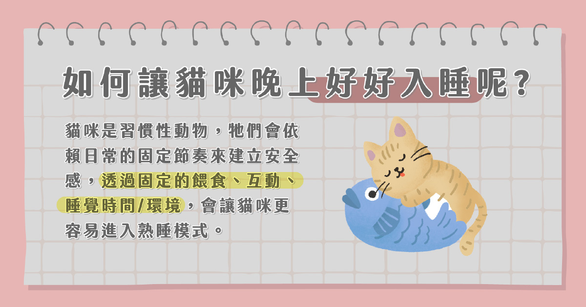 如何讓貓咪晚上好好入睡呢?