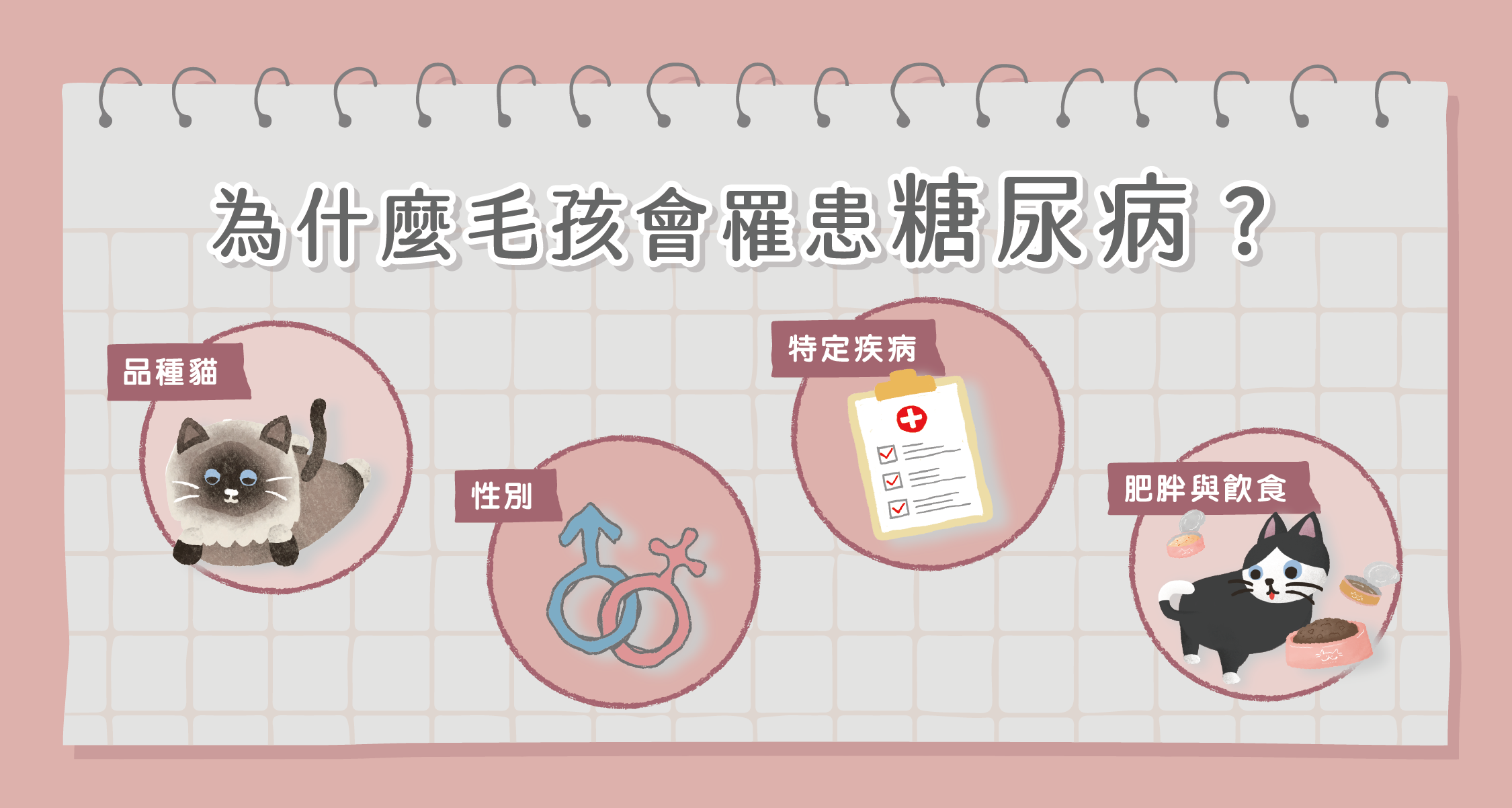 貓咪糖尿病