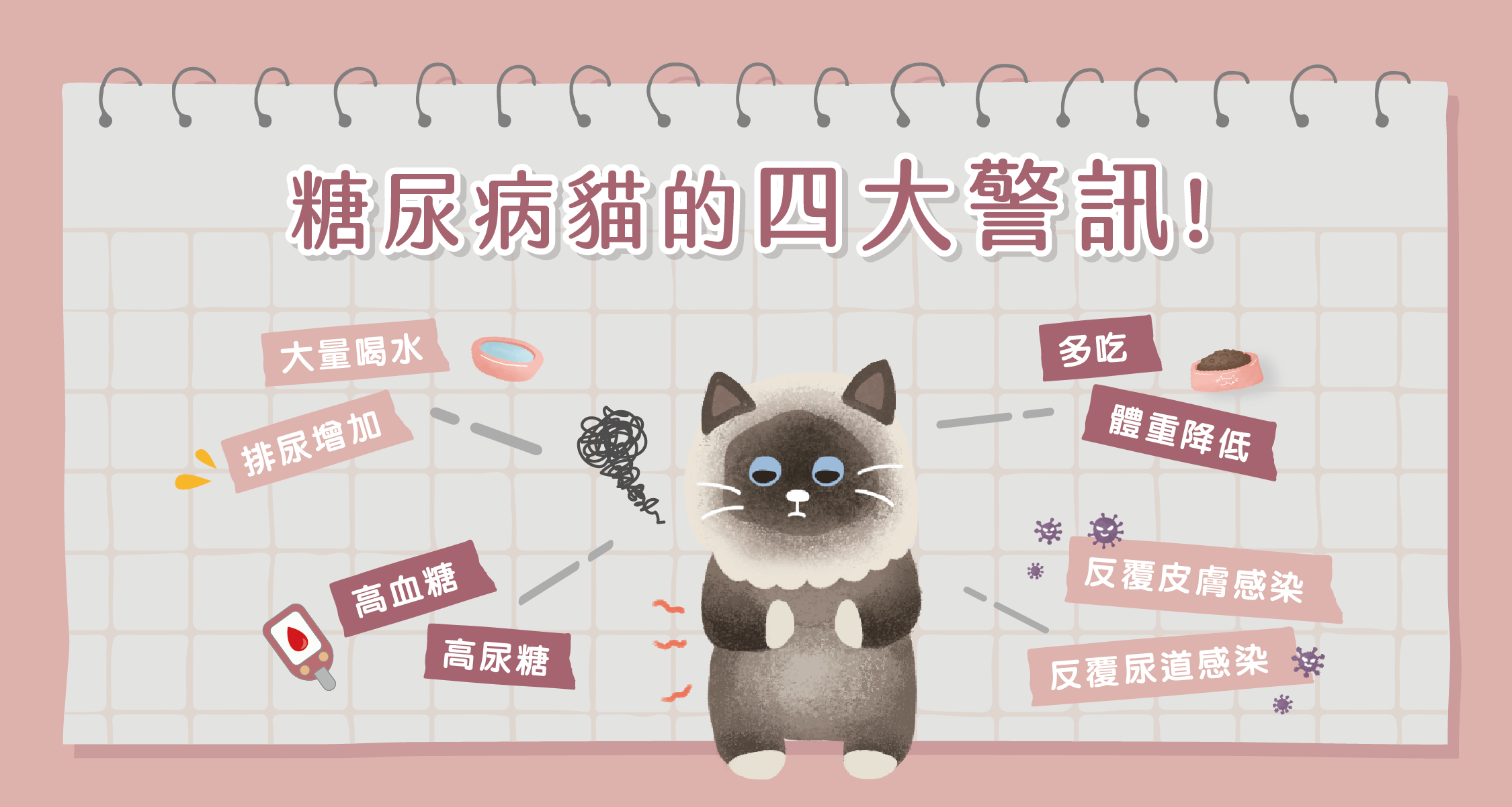 糖尿病貓診斷