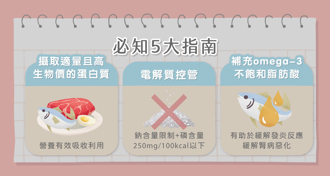 腎貓飲食