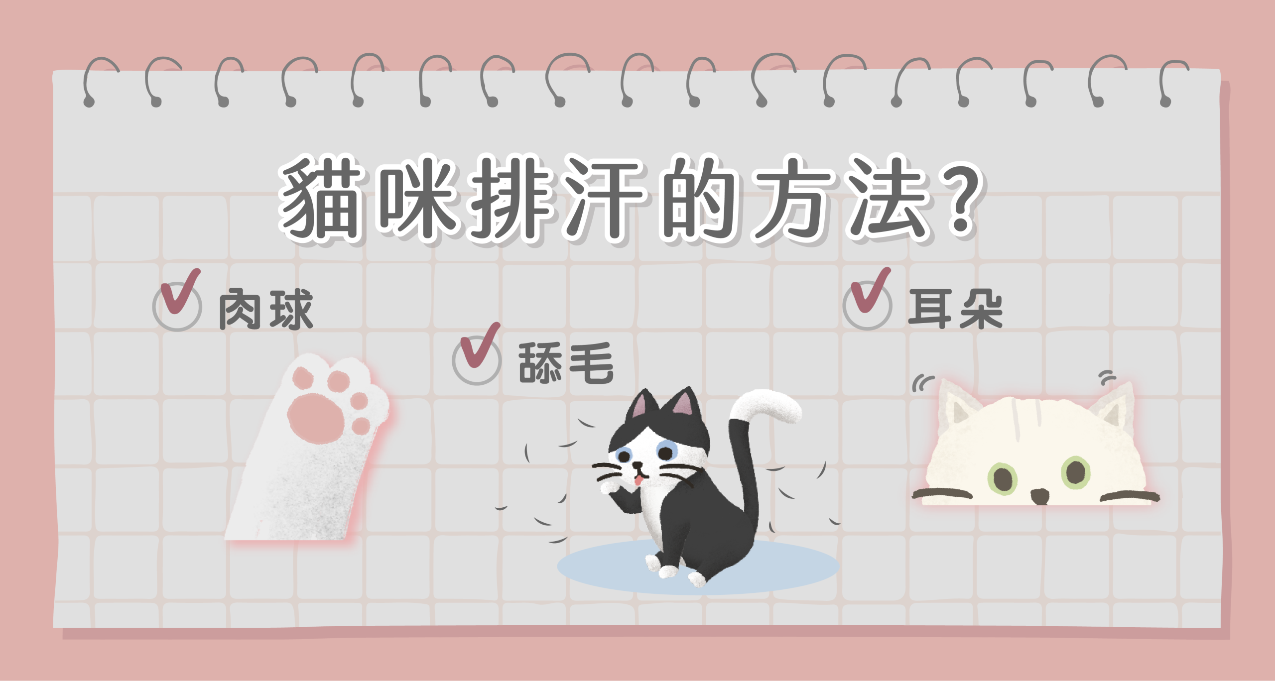 貓咪排汗的方法 