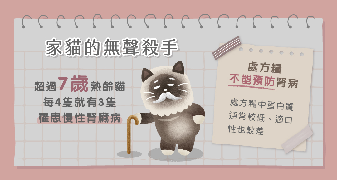 貓咪腎臟病