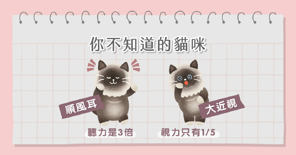 貓咪辨認人的方式