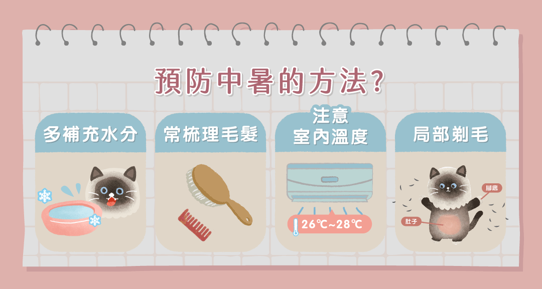 預防中暑的方法