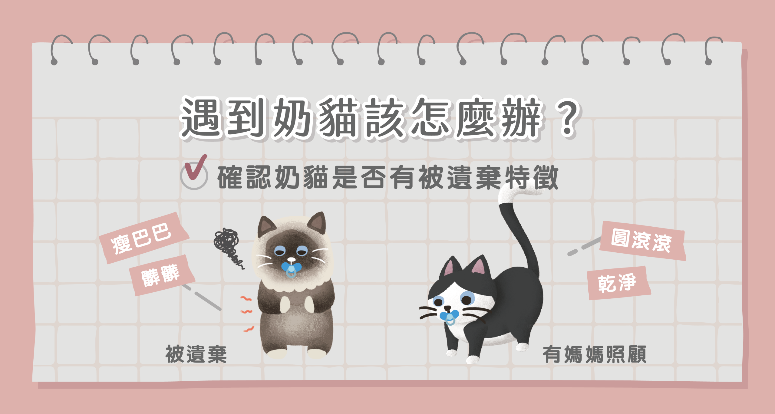 ２.奶貓被遺棄特徵