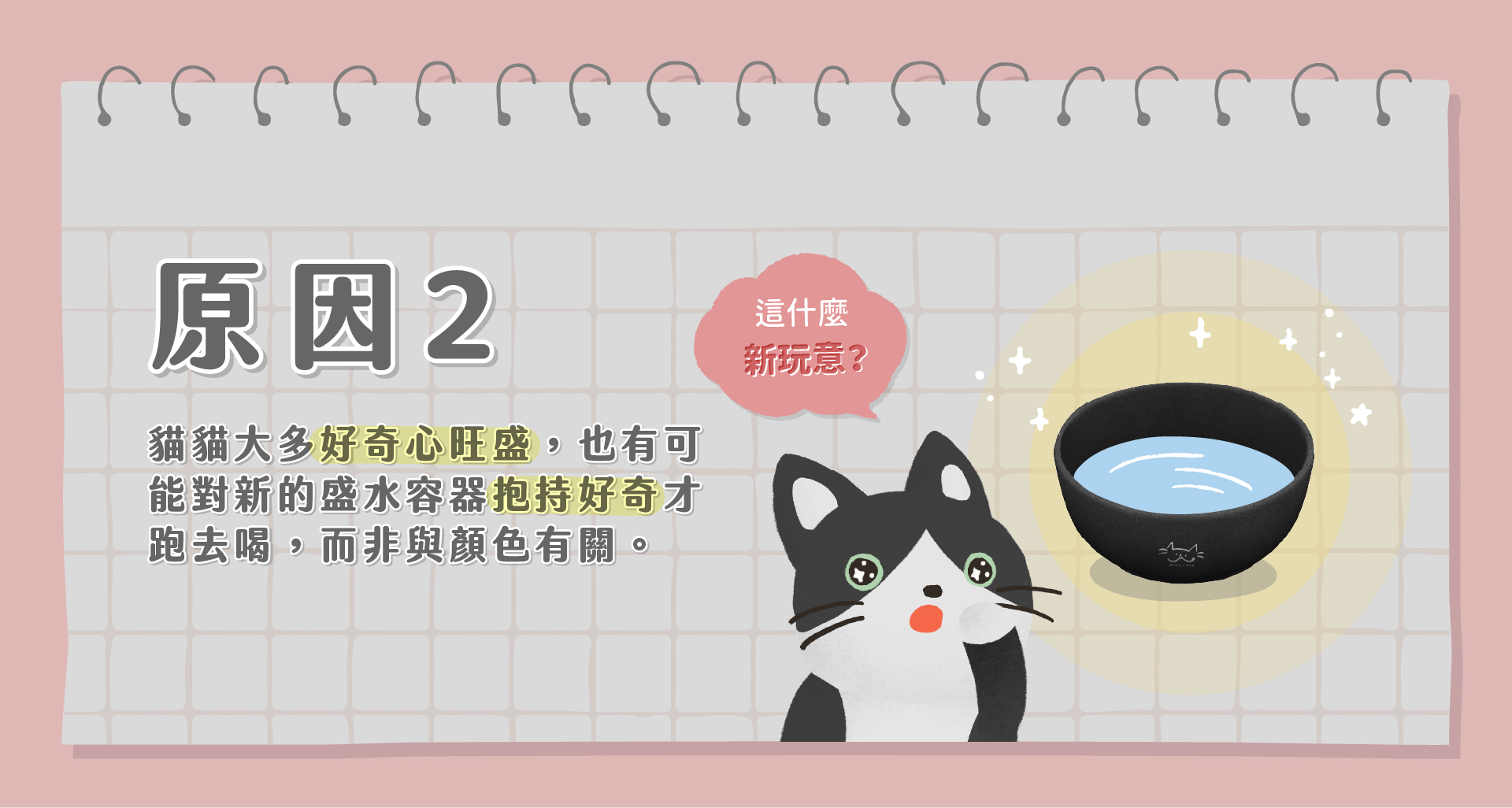 貓咪好奇心旺盛