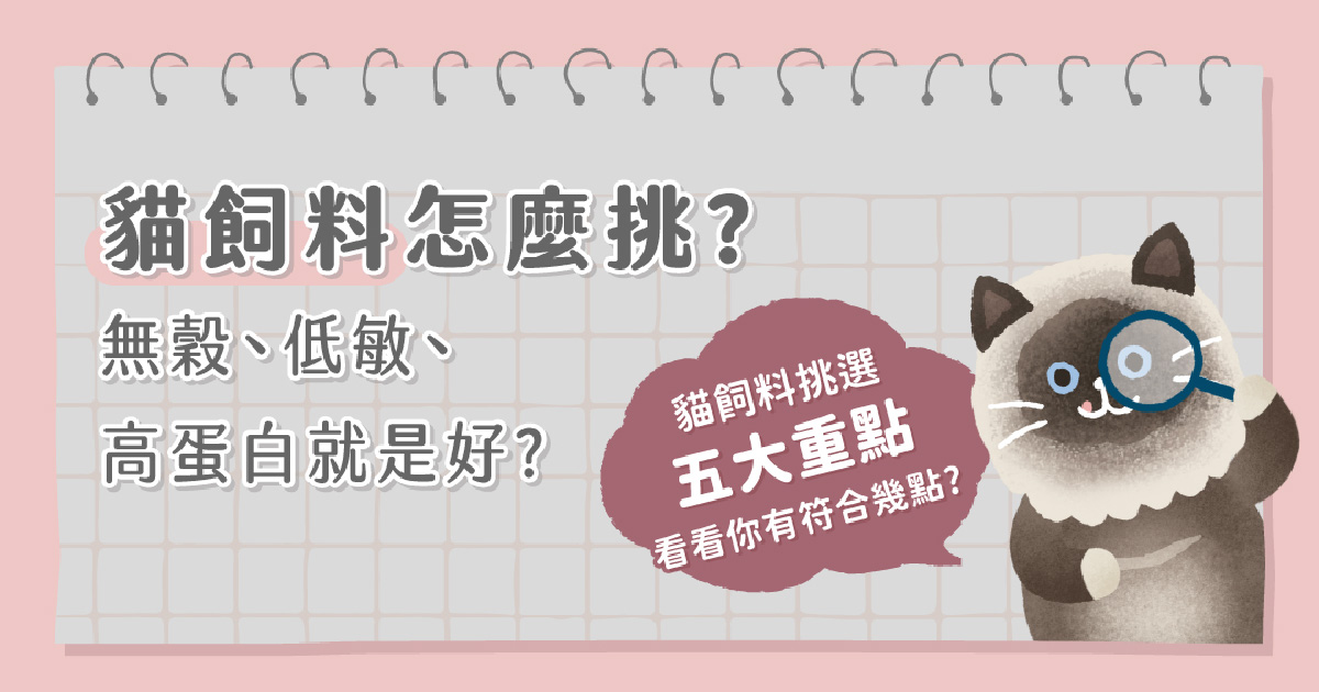 貓飼料怎麼選